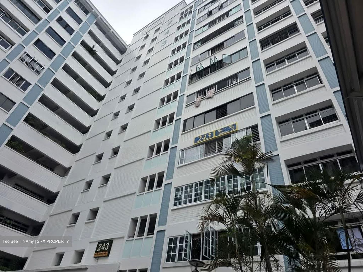 Blk 243 Pasir Ris Street 21 (Pasir Ris), HDB Executive #564504921